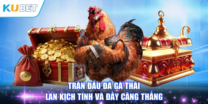 Trận đấu đá gà thái lan kịch tính và đầy căng thẳng